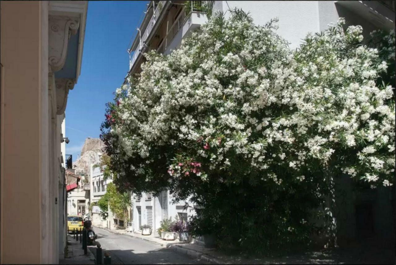 Apartament Vintage Charm By The Acropolis! Ateny Zewnętrze zdjęcie